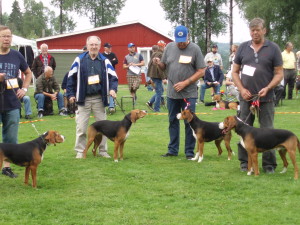 Dostarps kennel uppfödargrupp